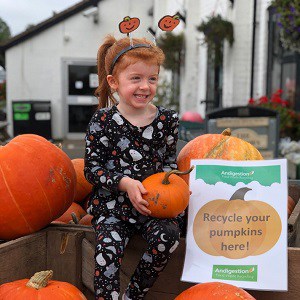 The Business Magazine article image for: Record Numbers of Gloucestershire Schools Sign Up for the 2019 Pumpkin Recycling Project!