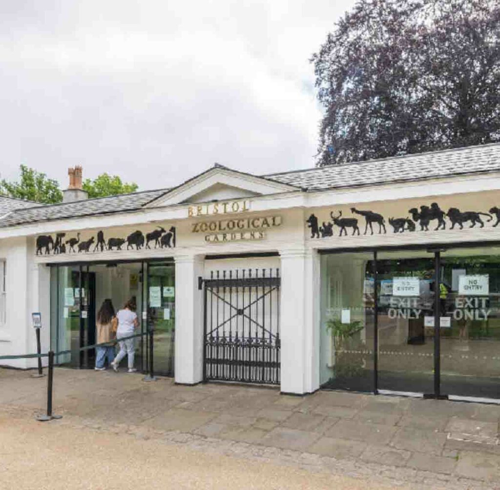 The Business Magazine article image for: Team appointed to lead redevelopment of Bristol Zoo gardens