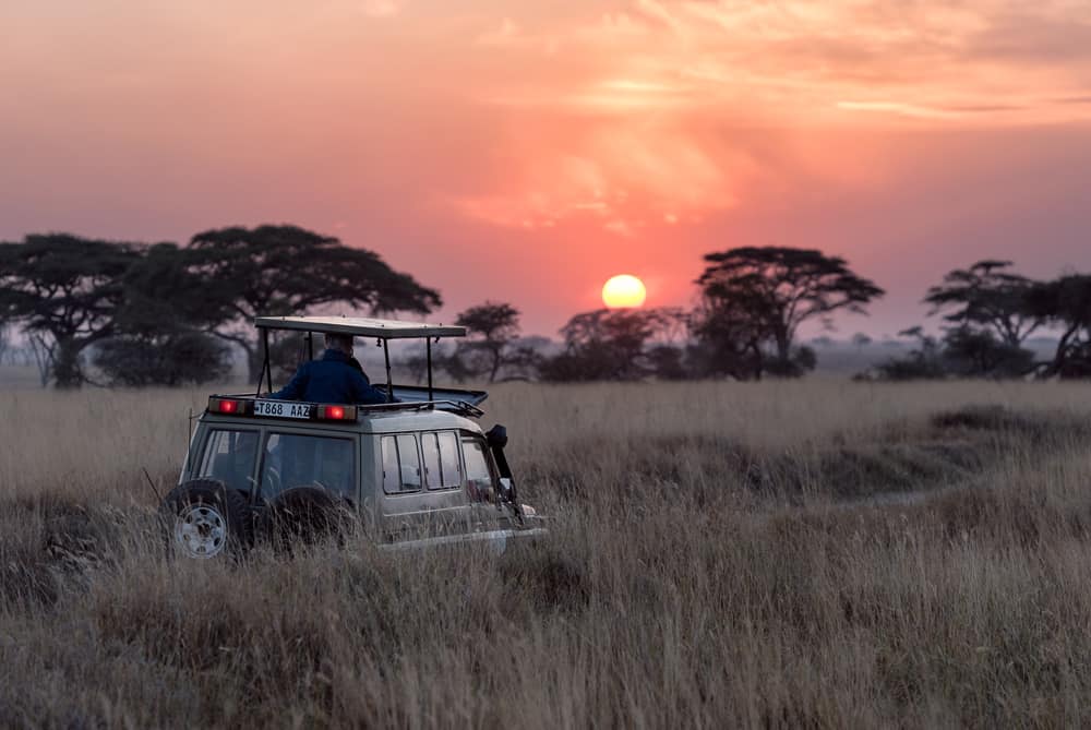 IBB Law advises Wilderness Safari