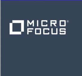 The Business Magazine article image for: Newbury based Micro Focus to sell its 