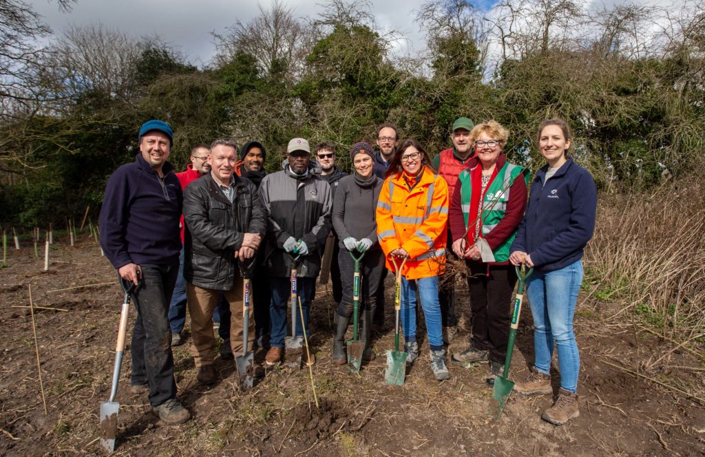 The Business Magazine article image for: Network Rail pledges £1 million for tree-planting