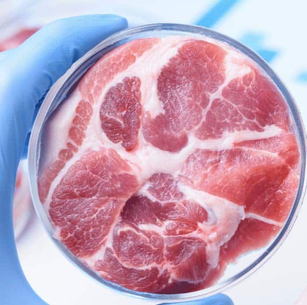 The Business Magazine article image for: Cultured meat - threat or an opportunity for UK farmers?