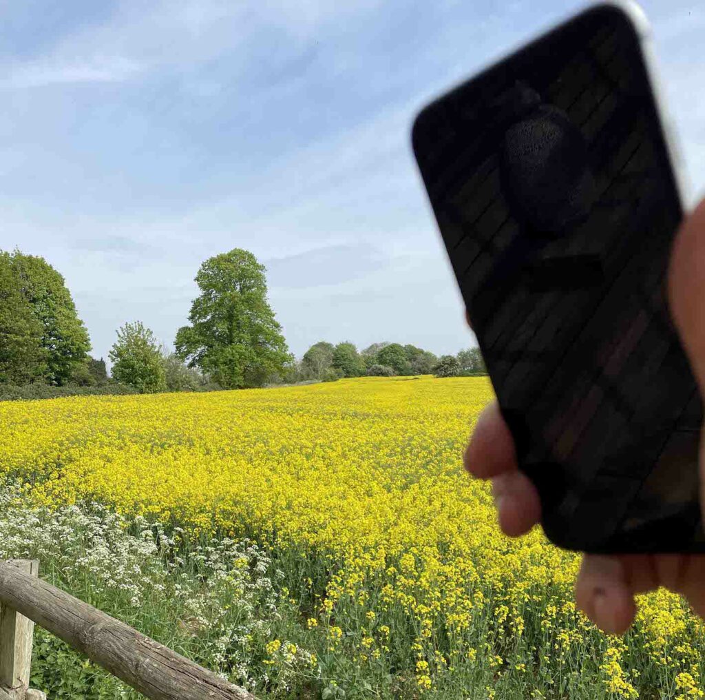The Business Magazine article image for: Lack of rural connectivity holding UK farming back says NFU
