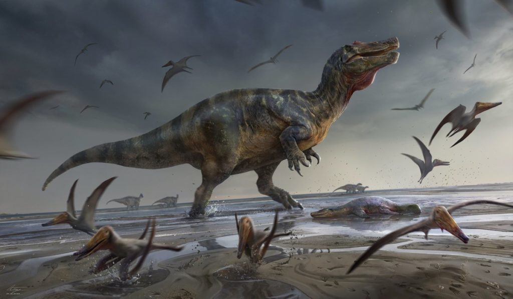 Isle of Wight dinosaur identified