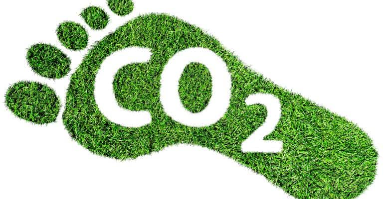 The Business Magazine article image for: As businesses work towards Net Zero, survey reveals barriers to carbon neutrality