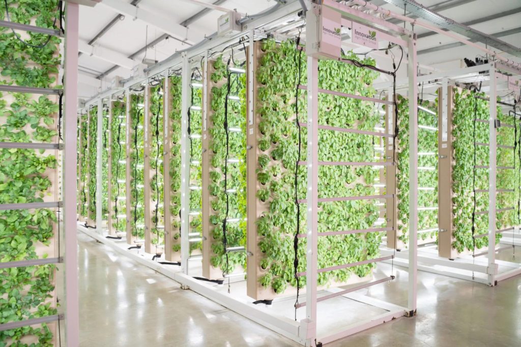 The Business Magazine article image for: Bracknell’s IAG launches innovative new vertical farming tech
