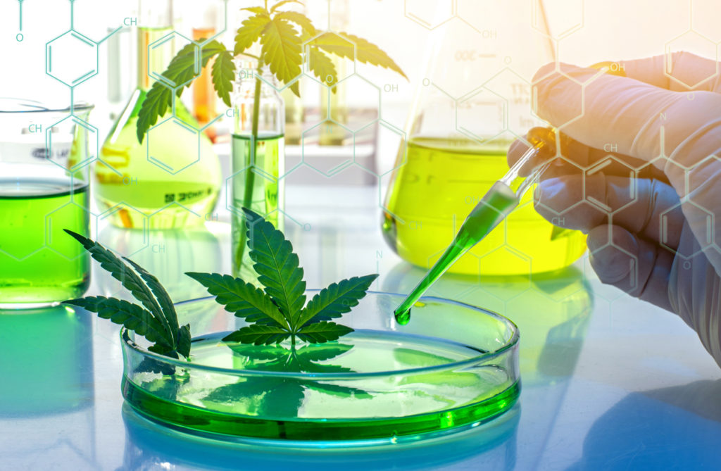 Cannabinoid pharmaceutical firm Oxford Cannabinoid Technologies has submitted a combined clinical trials application for its lead OCT461201 programme.