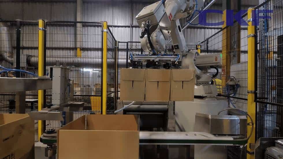 The Business Magazine article image for: CKF supply robotic case packing system to a leading third party logistics company