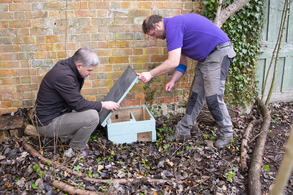 The Business Magazine article image for: First birds and bumblebees – now Howbery Park helps hedgehogs in biodiversity drive