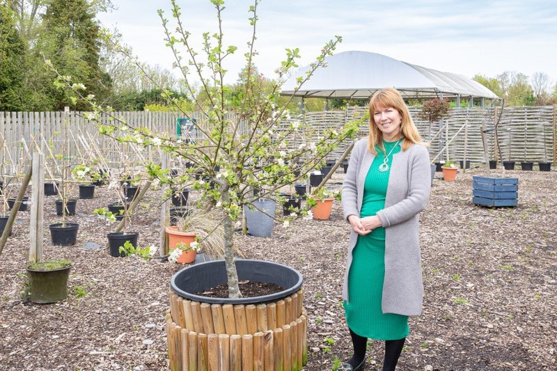 The Business Magazine article image for: Kent nursery Grow launches rare fruit tree sponsorship initiative